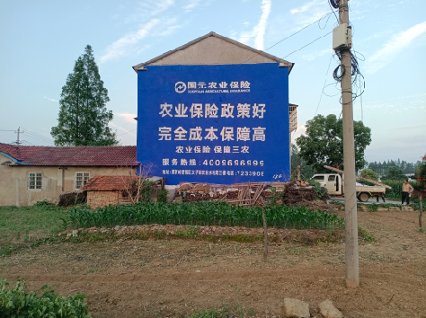 攀枝花墙体广告为何受追捧？