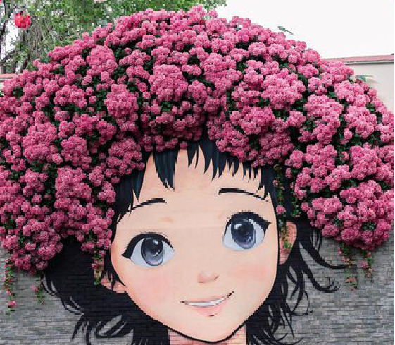 攀枝花墙体彩绘-网红墙打卡