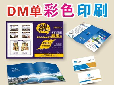 攀枝花单页印刷，色彩搭配简单。